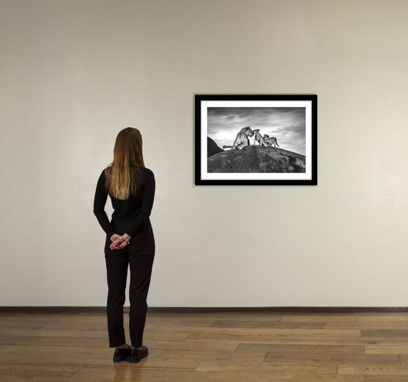 24 x 36 in., edition of 15